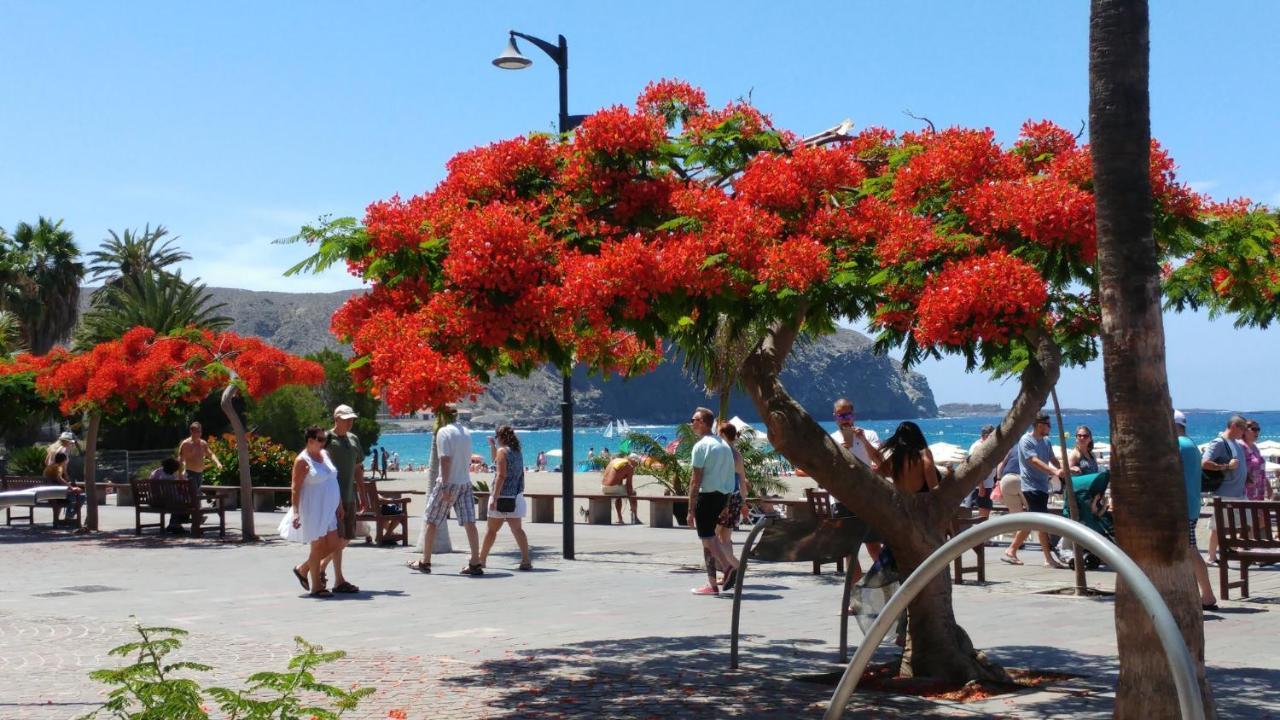 Playa De Los Cristianos Casa Adriano מראה חיצוני תמונה